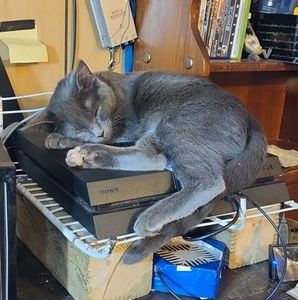 Meet your Posher, Matthew